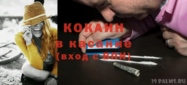 прущие грибы Арсеньев