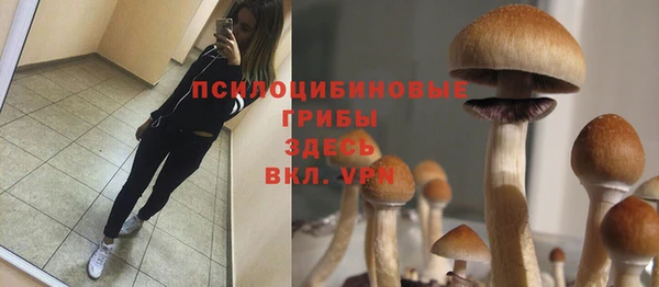 прущие грибы Арсеньев