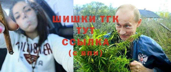 спайс Аркадак
