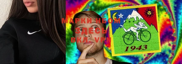 прущие грибы Арсеньев