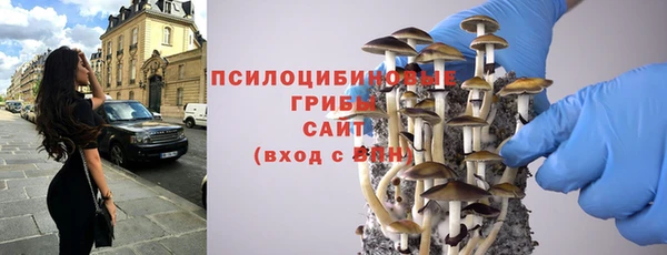 спайс Аркадак