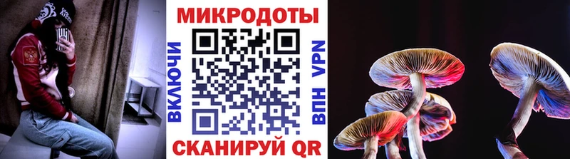 Галлюциногенные грибы Psilocybe  Барабинск 